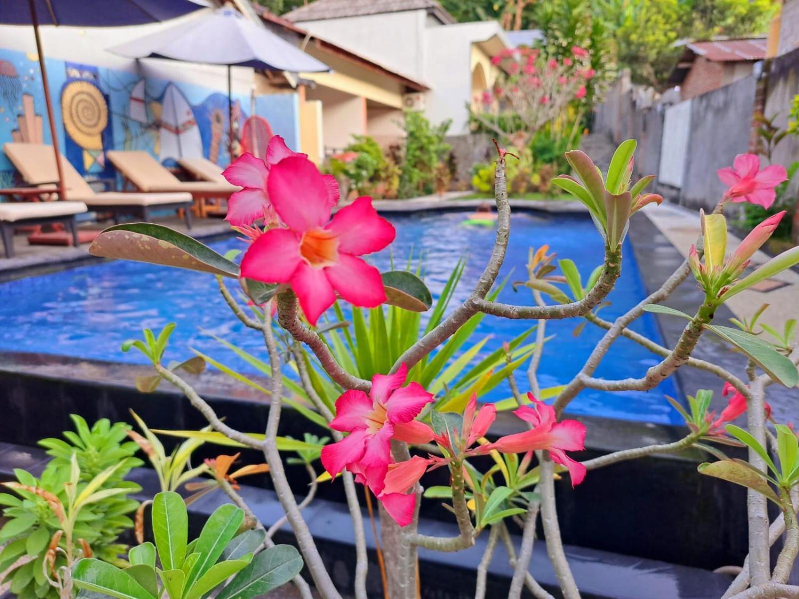 Family Garden Homestay Senggigi Exteriör bild